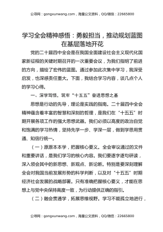 学习全会精神感悟：勇毅担当，推动规划蓝图在基层落地开花