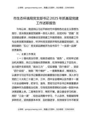 市生态环境局党支部书记2025年抓基层党建工作述职报告