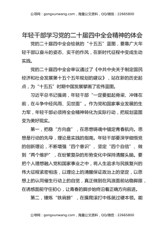 年轻干部学习党的二十届四中全会精神的体会