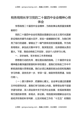 税务局局长学习党的二十届四中全会精神心得体会