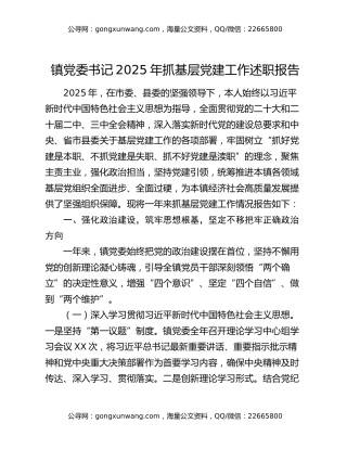 镇党委书记2025年抓基层党建工作述职报告