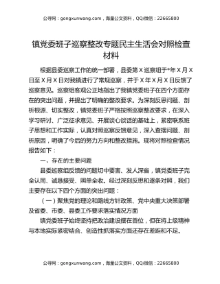 镇党委班子巡察整改专题民主生活会对照检查材料
