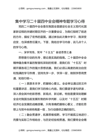 集中学习二十届四中全会精神专题学习心得