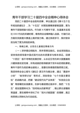 青年干部学习二十届四中全会精神心得体会