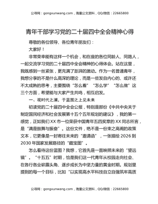 青年干部学习党的二十届四中全会精神心得