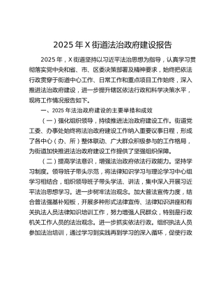 2025年X街道法治政府建设报告