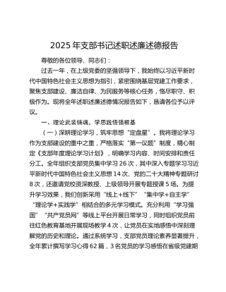 2025年支部书记述职述廉述德报告