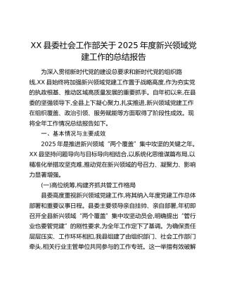 XX县委社会工作部关于2025年度新兴领域党建工作的总结报告