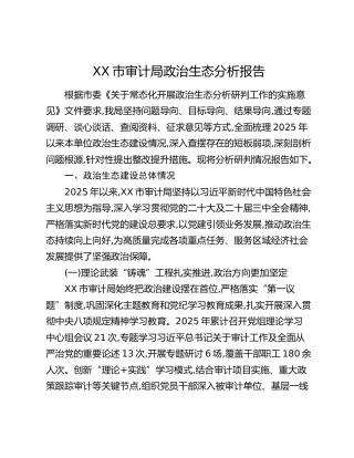 XX市审计局政治生态分析报告
