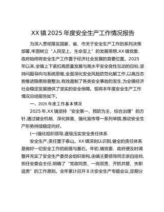 XX镇2025年度安全生产工作情况报告