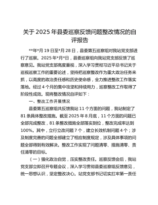 关于2025年县委巡察反馈问题整改情况的自评报告
