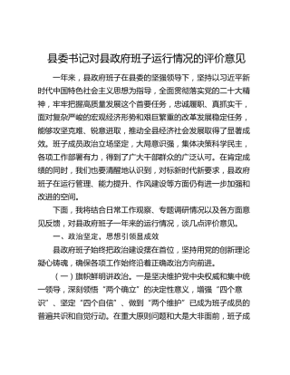 县委书记对县政府班子运行情况的评价意见