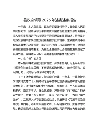 县政府领导2025年述责述廉报告