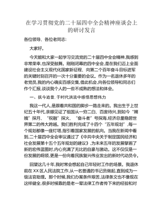 在学习贯彻党的二十届四中全会精神座谈会上的研讨发言