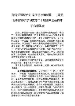 学深悟透聚合力 实干担当谱新篇——县委组织部部长学习党的二十届四中全会精神的心得体会