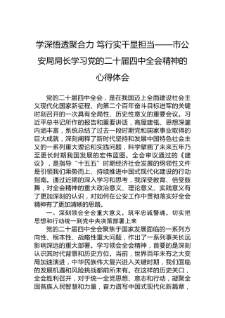 学深悟透聚合力 笃行实干显担当——市公安局局长学习党的二十届四中全会精神的心得体会