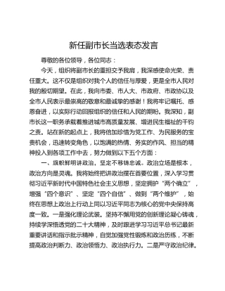 新任副市长当选表态发言