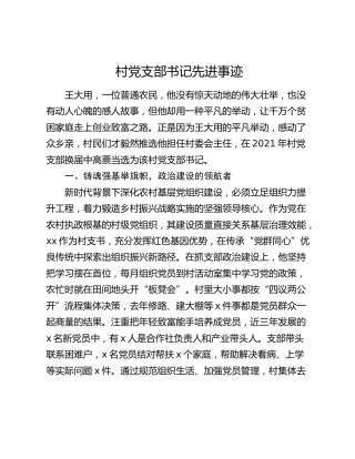 村党支部书记先进事迹