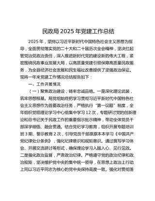 民政局2025年党建工作总结