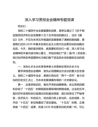 深入学习贯彻四中全会精神专题党课