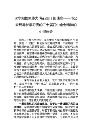 深学细悟聚伟力 笃行实干担使命——市公安局局长学习党的二十届四中全会精神的心得体会