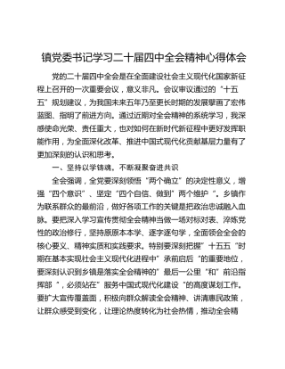 镇党委书记学习二十届四中全会精神心得体会