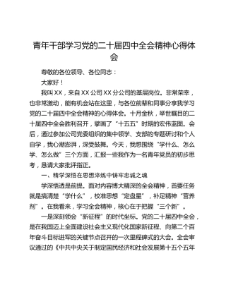 青年干部学习党的二十届四中全会精神心得体会