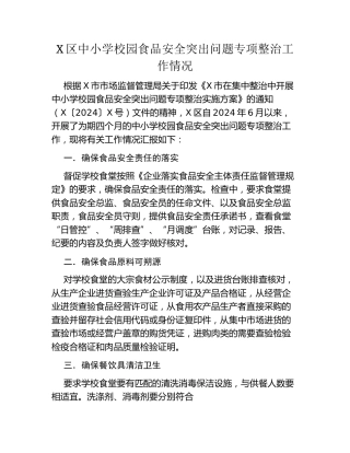 X区中小学校园食品安全突出问题专项整治工作情况