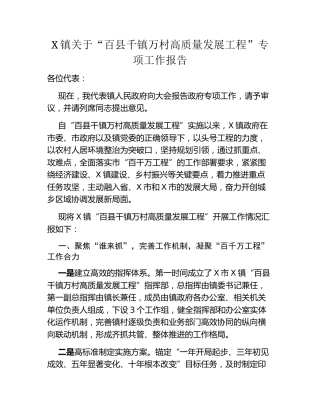 X镇关于“百县千镇万村高质量发展工程”专项工作报告