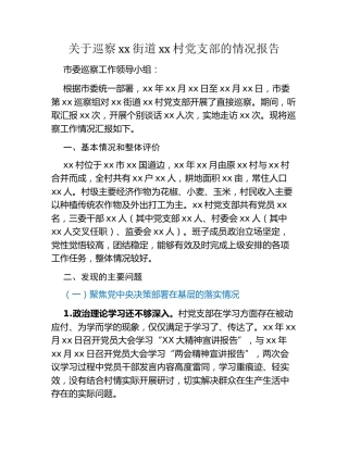 关于巡察xx街道xx村党支部的情况报告 (2)