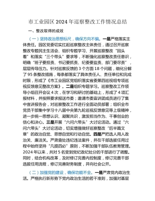市工业园区2024年巡察整改工作情况总结（2）