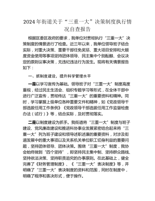 2024年街道关于三重一大决策制度执行情况自查报告