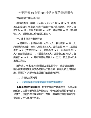 关于巡察xx街道xx村党支部的情况报告（2）