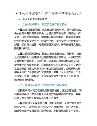 X县水利领域安全生产工作责任落实情况总结