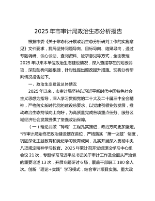 2025年市审计局政治生态分析报告