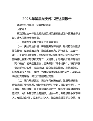 2025年基层党支部书记述职报告