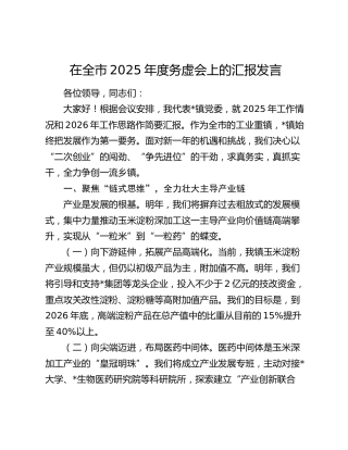 在全市2025年度务虚会上的汇报发言