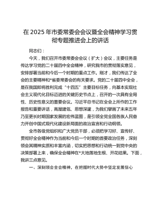 在2025年市委常委会会议暨四中全会精神学习贯彻专题推进会上的讲话