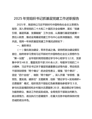2025年党组织书记抓基层党建工作述职报告