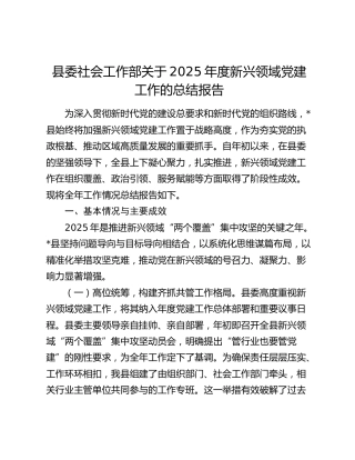 县委社会工作部关于2025年度新兴领域党建工作的总结报告