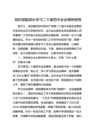 组织部副部长学习二十届四中全会精神感悟