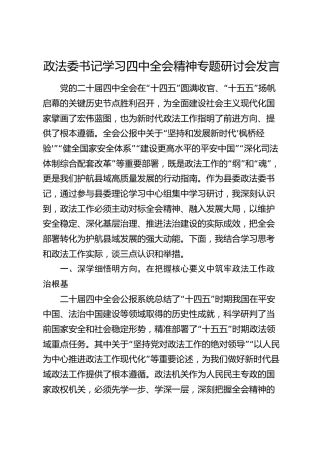 政法委书记学习四中全会精神专题研讨会发言