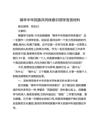铸牢中华民族共同体意识领学发言材料