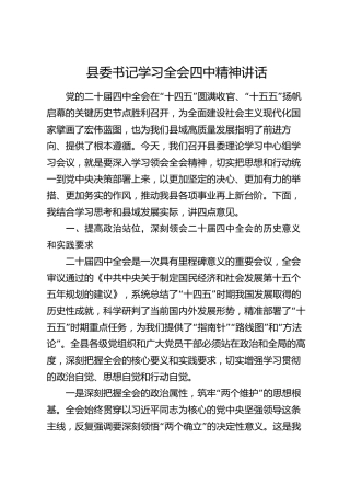 县委书记学习全会四中精神讲话