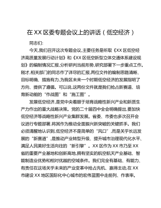 在XX区委专题会议上的讲话（低空经济）