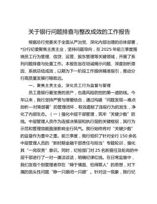 关于银行问题排查与整改成效的工作报告