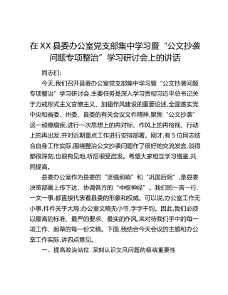 在XX县委办公室党支部集中学习暨“公文抄袭问题专项整治”学习研讨会上的讲话