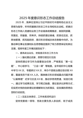 2025年度意识形态工作总结报告3200字