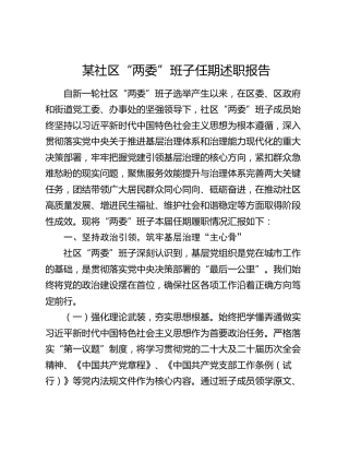 社区“两委”班子任期述职报告2