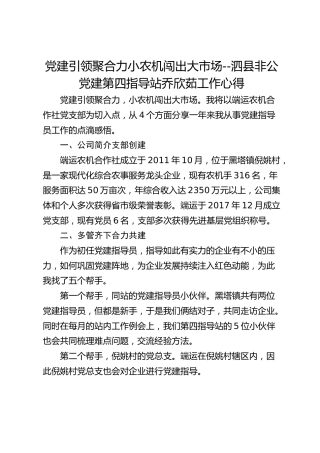 党建引领聚合力 小农机闯出大市场--泗县非公党建第四指导站乔欣茹工作心得